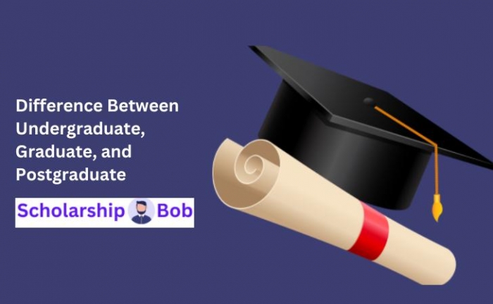 Difference Between Undergraduate, Graduate And Postgraduate ...